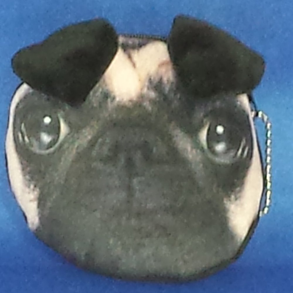 Jesse's Friend: Tot the Pug Treat /Coin/Poopie Bag